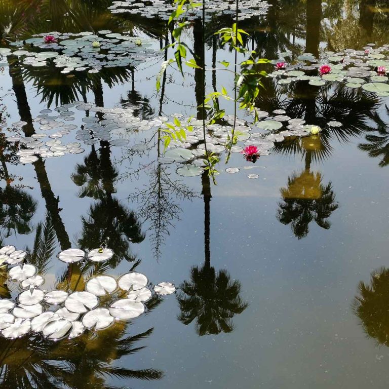 Giardini
